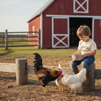 Rooster Wrangler Tee