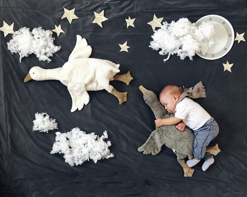 Senger Naturwelt Organic Large Goose | Grey