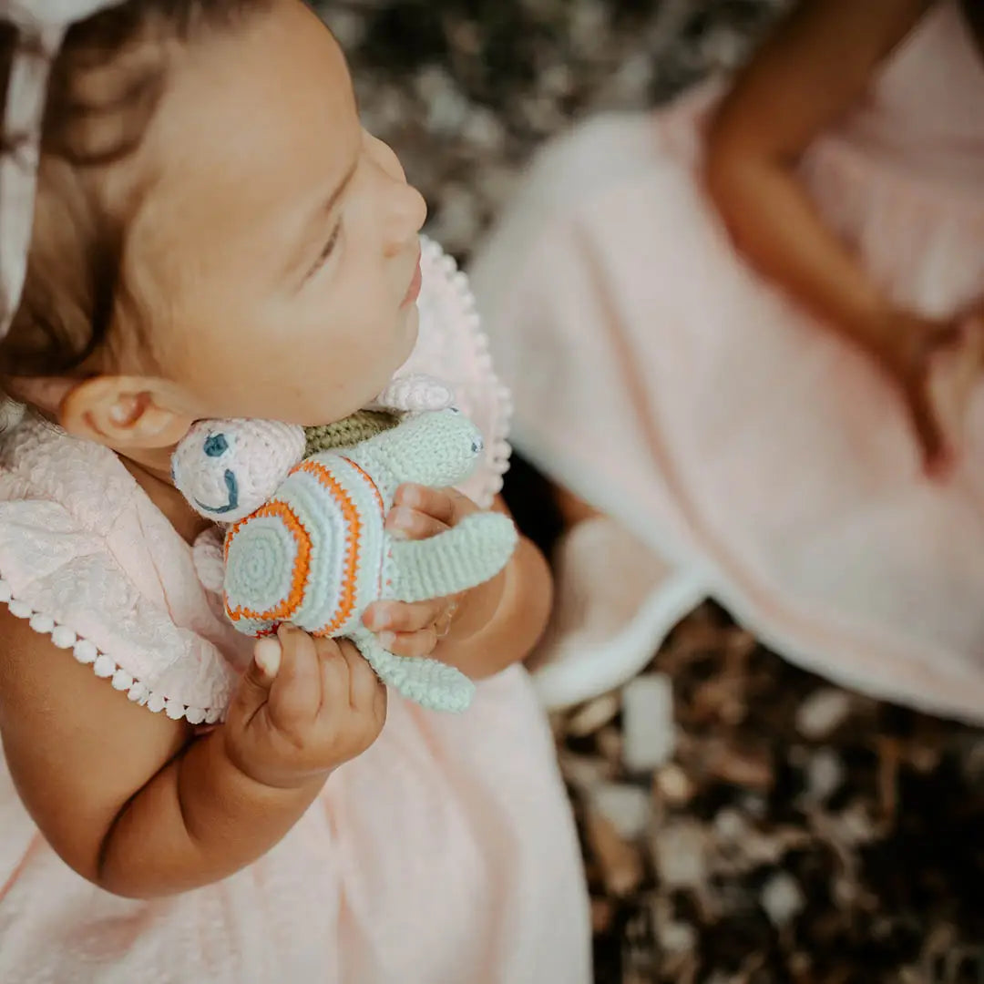 Organic Crocheted Rattle Toy | Turtle