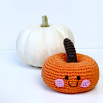 Load image into Gallery viewer, Organic Crocheted Veggie Rattle | Friendly Pumpkin
