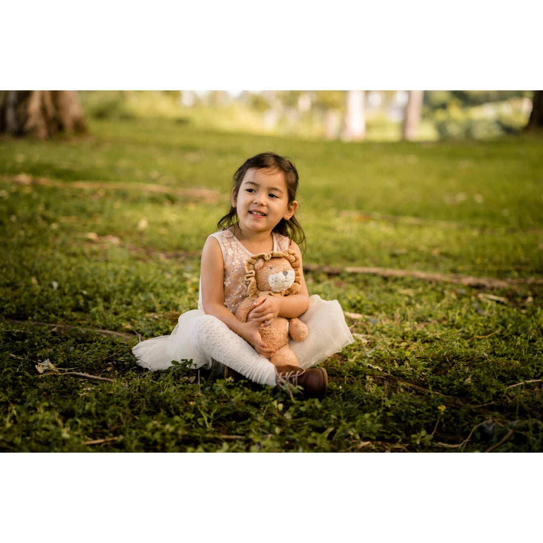 Organic Plush Toy | Lionel The Lion