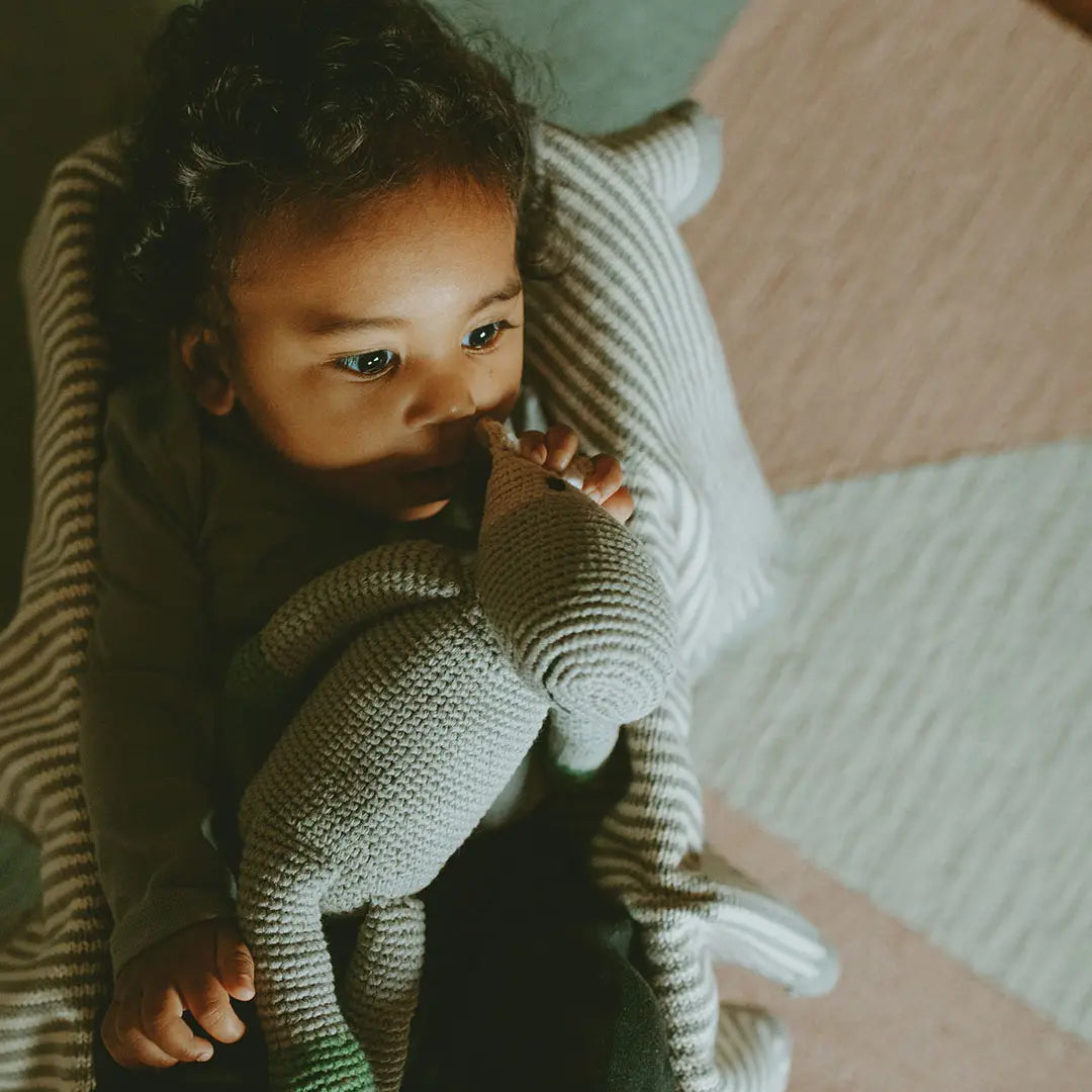 Organic Crocheted Rattle Toy | Hippo