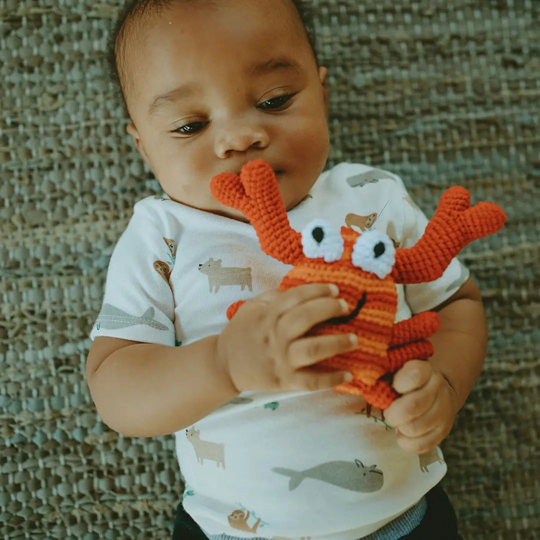 Organic Crocheted Rattle Toy | Red Crab