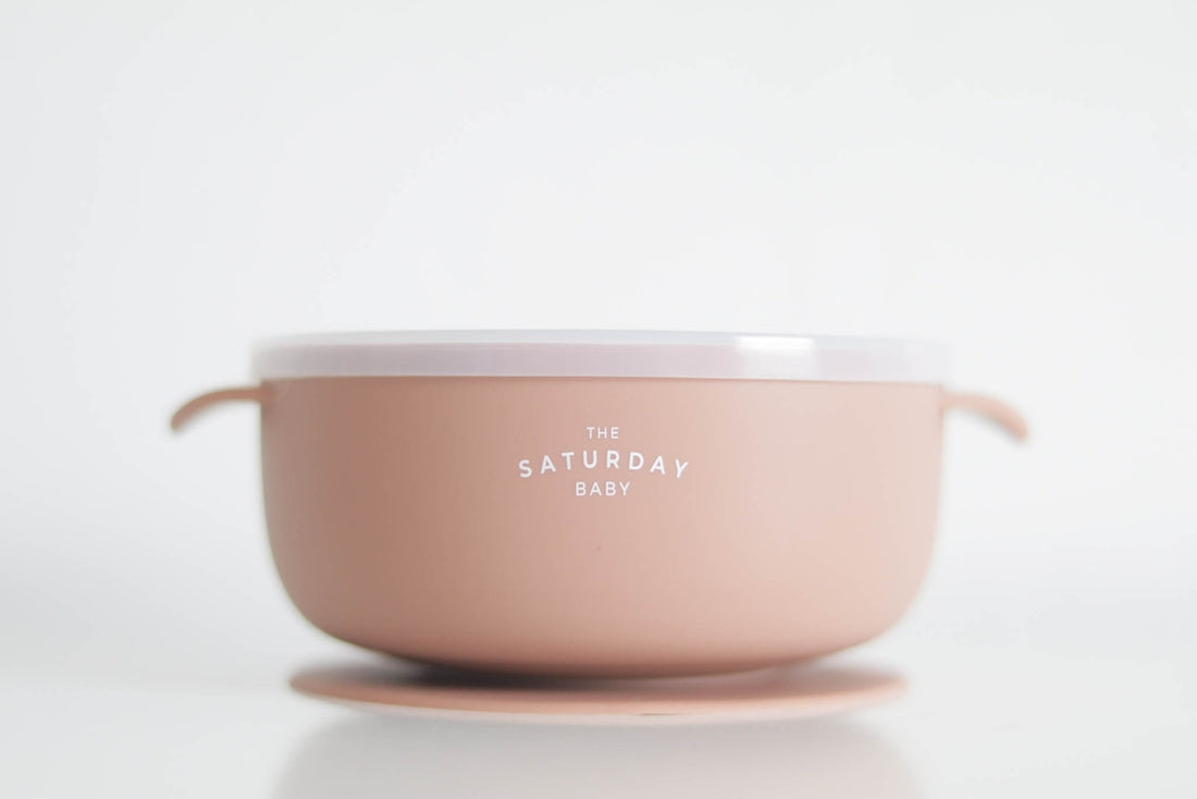 Silicone Suction Bowl with Lid