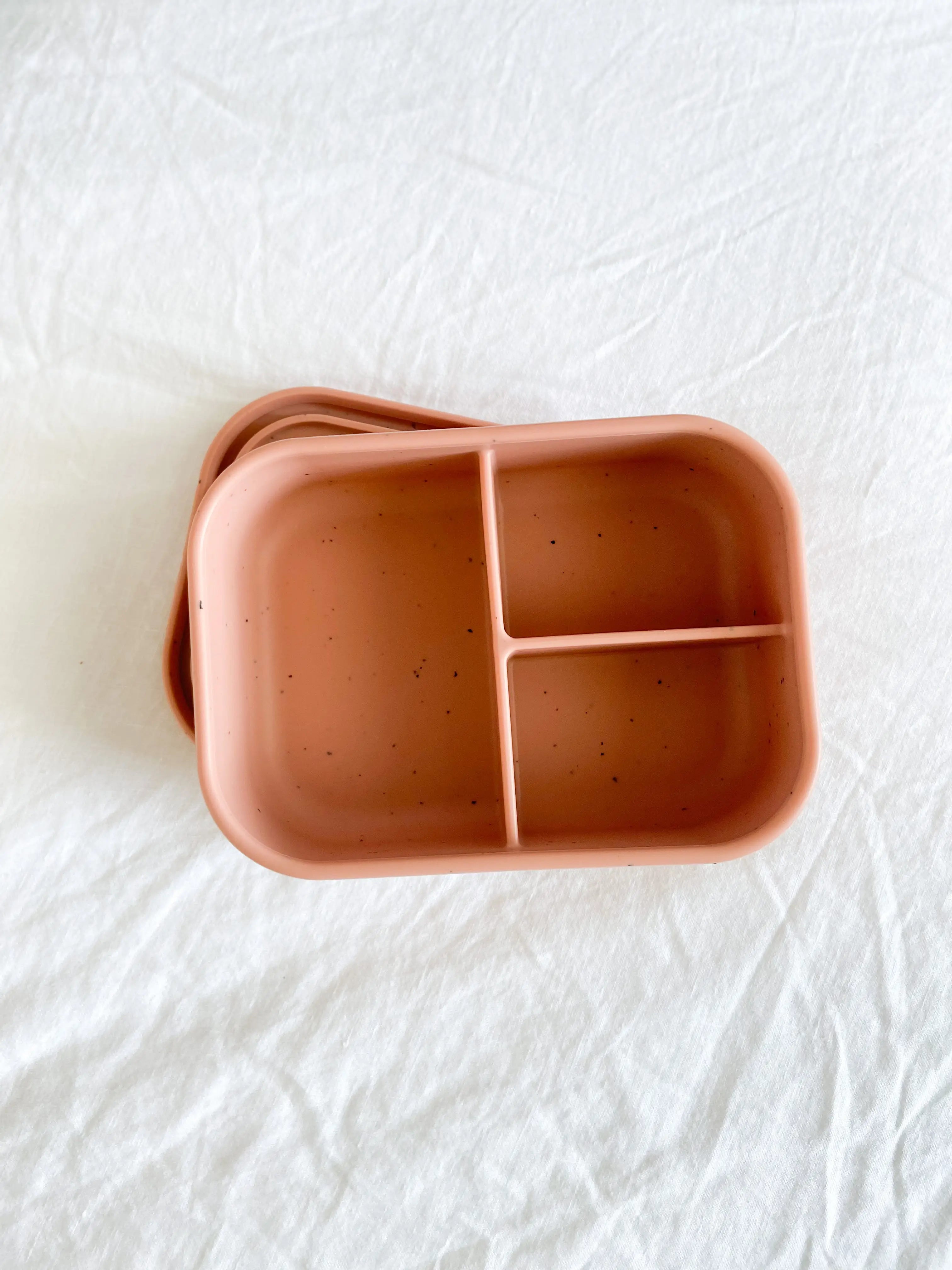 Terracotta Silicone Bento Box